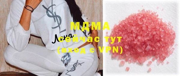 шишки Няндома
