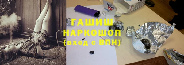 шишки Няндома
