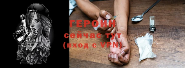 шишки Няндома