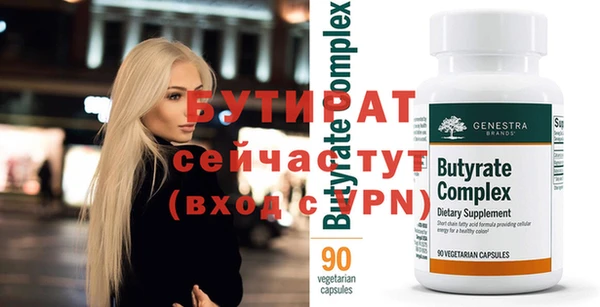 шишки Няндома