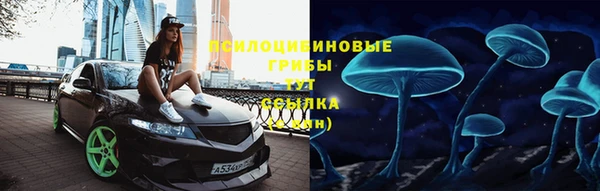 стаф Нязепетровск