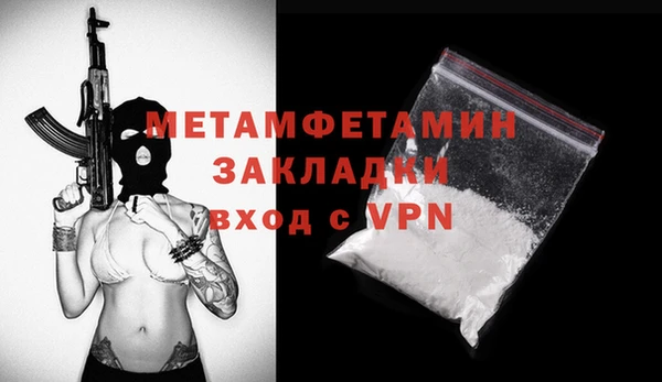 шишки Няндома