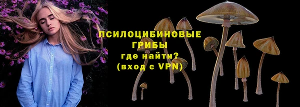стаф Нязепетровск
