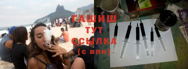 шишки Няндома