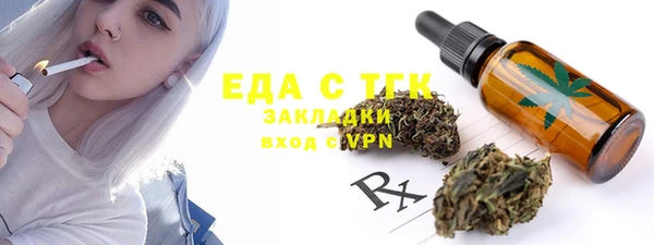 шишки Няндома