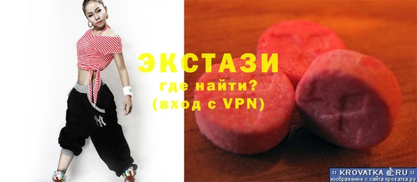 шишки Няндома