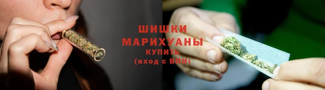 амф Болотное