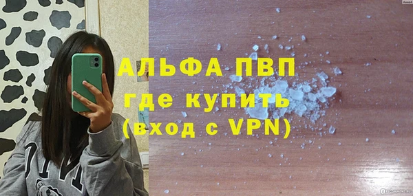 шишки Няндома