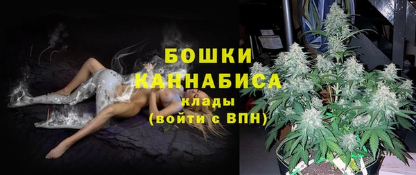 шишки Няндома