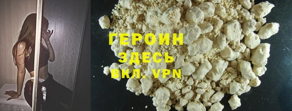 шишки Няндома