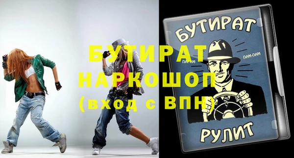 шишки Няндома