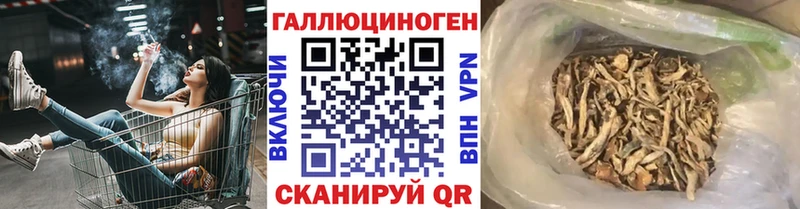 дарнет шоп  Ханты-Мансийск  Псилоцибиновые грибы MAGIC MUSHROOMS 